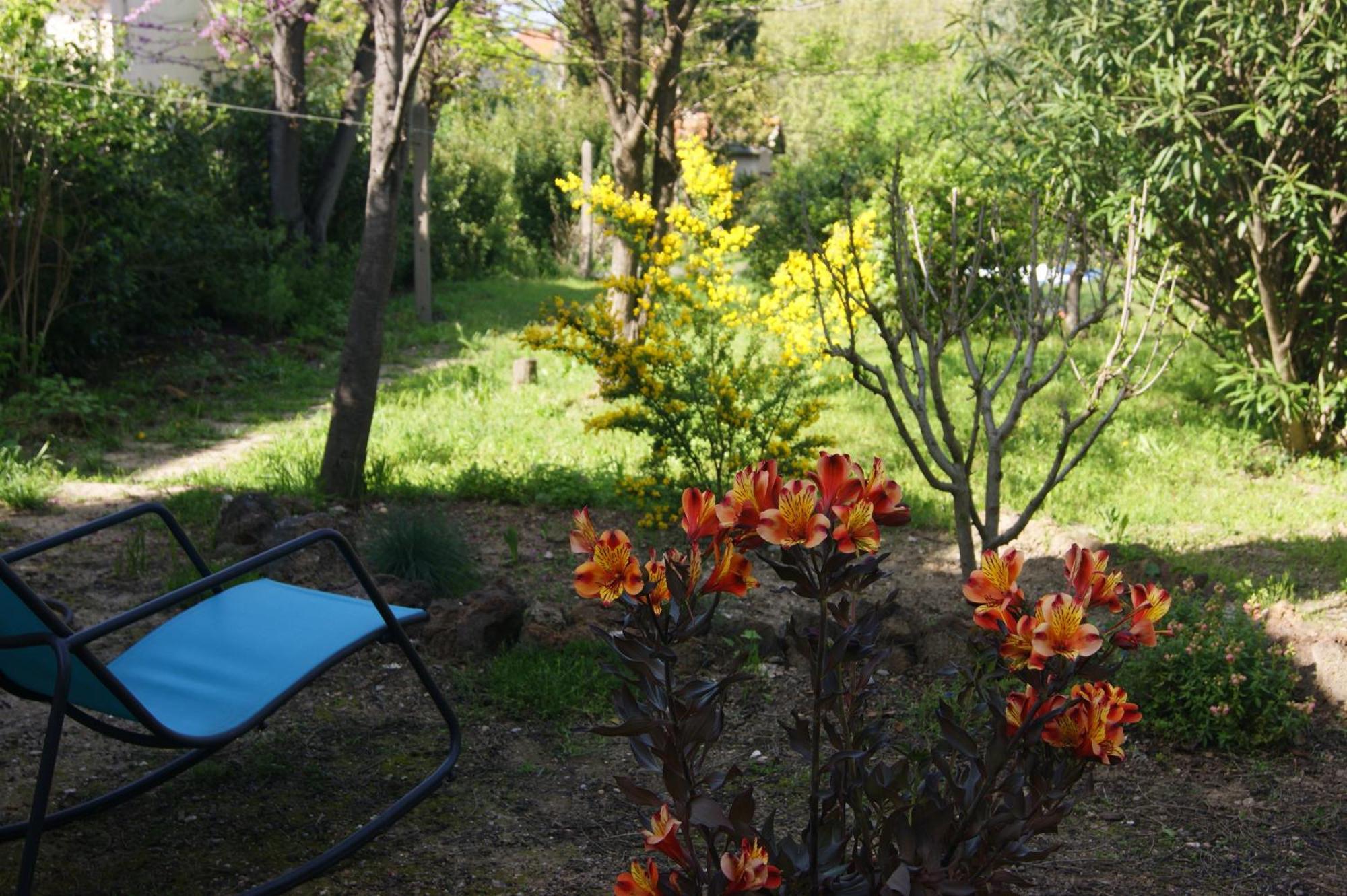 Bed and Breakfast Le Petit Moliere Servian Экстерьер фото